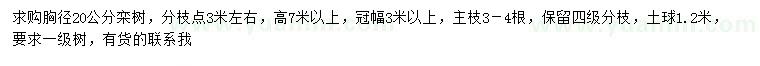 求購(gòu)胸徑20公分欒樹
