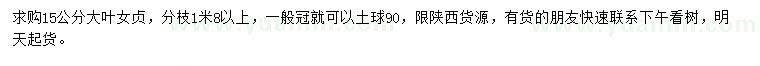 求購15公分大葉女貞