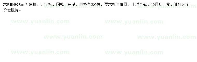 求購(gòu)五角楓、元寶楓、國(guó)槐等