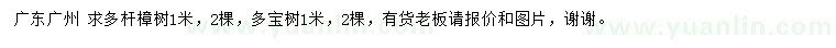 求購1米多桿樟樹、多寶樹