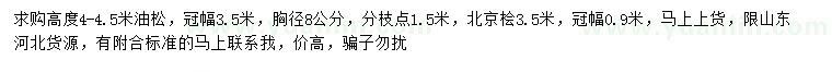 求購(gòu)高度4-4.5米油松、3.5米北京檜