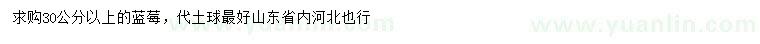 求購30公分以上藍莓