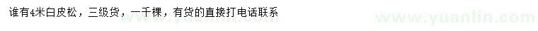 求購4米白皮松