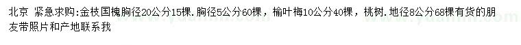 求購(gòu)金枝國(guó)槐、榆葉梅、桃樹