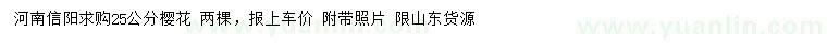 求購25公分櫻花