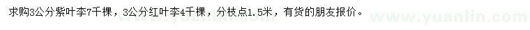 求購3公分紫葉李、紅葉李