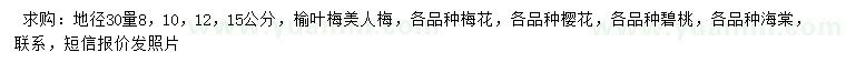 求購榆葉梅、美人梅、櫻花等