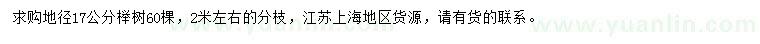 求購地徑17公分櫸樹