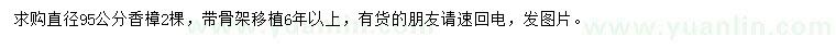 求購(gòu)直徑95公分香樟