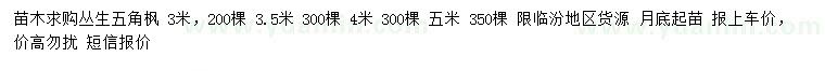 求購3、3.5、4、5米叢生五角楓