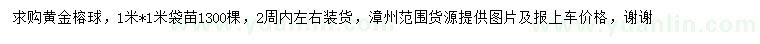 求購1*1米黃金榕球