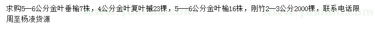 求購金葉垂榆、金葉復(fù)葉槭、金葉榆等