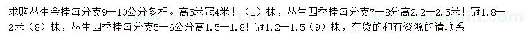 求購高5米叢生金桂、高1.5-1.8、2.2-2.5米叢生四季桂