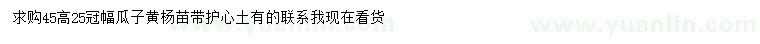 求購高45公分瓜子黃楊苗