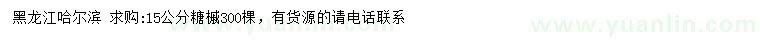 求購(gòu)15公分糖槭
