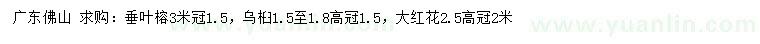 求購(gòu)垂葉榕、烏桕、大紅花