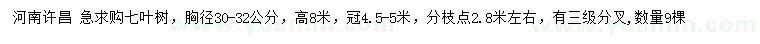 求購(gòu)胸徑30-32公分七葉樹(shù)