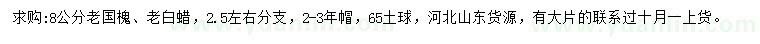 求購8公分老國槐、老白蠟