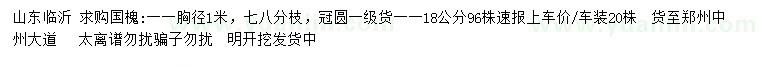 求購胸徑1米國槐