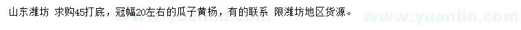 求購(gòu)冠幅20公分左右瓜子黃楊