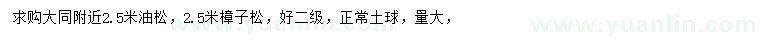 求購(gòu)2.5米油松、樟子松