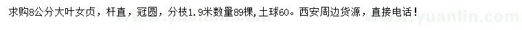 求購8公分大葉女貞