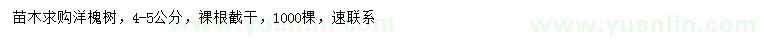 求購4-5公分洋槐樹