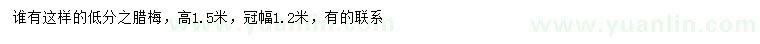 求購高1.5米臘梅