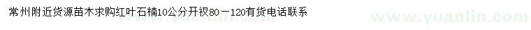 求購(gòu)10公分紅葉石楠