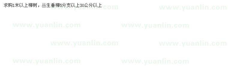 求購30公分以上柳樹、叢生垂柳
