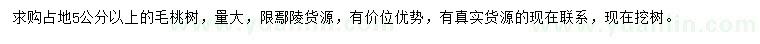 求購(gòu)5公分以上毛桃