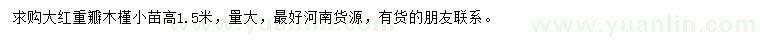 求購高1.5米重瓣木槿小苗