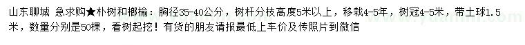 求購(gòu)胸徑35-40公分樸樹(shù)、榔榆