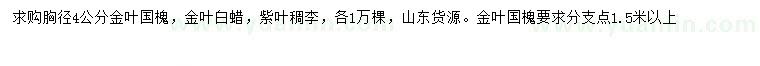 求購(gòu)金葉國(guó)槐、金葉白蠟、紫葉稠李