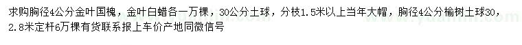 求購金葉國槐、金葉白蠟、榆樹(shù)