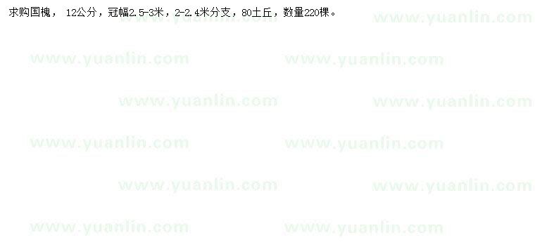 求購(gòu)12公分國(guó)槐