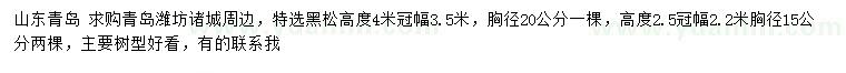 求購胸徑15、20公分黑松