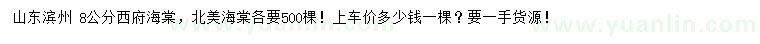 求購8公分西府海棠、北美海棠