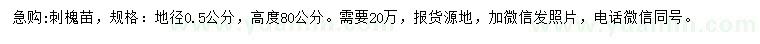 求購地徑0.5公分刺槐苗