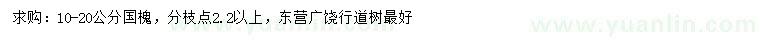 求購(gòu)10-20公分國(guó)槐
