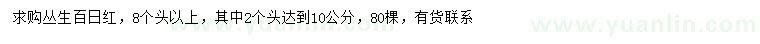 求購叢生百日紅