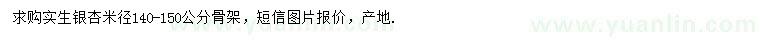 求購米徑140-150公分銀杏