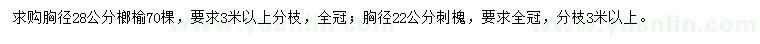 求購胸徑28公分榔榆、胸徑22公分刺槐