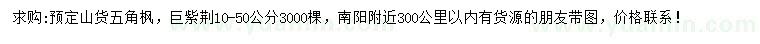 求購10-50公分五角楓、巨紫荊