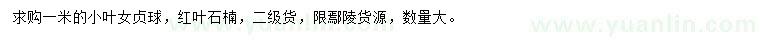 求購1米小葉女貞球