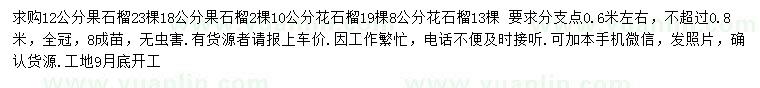 求購花石榴、果石榴