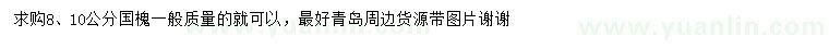 求購8、10公分國槐