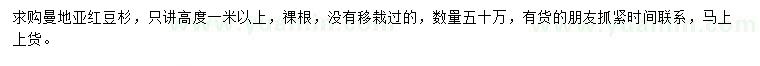 求購高度1米以上曼地亞紅豆杉