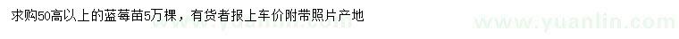 求購高50公分以上藍莓苗