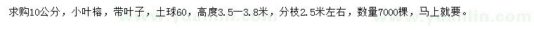 求購(gòu)10公分小葉榕
